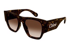 Chloe CH0233S 002 - ONE SIZE (53)