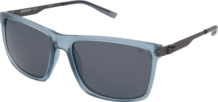 CPS 8501 106P
