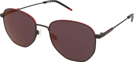 Hugo Boss HG 1178/S BLX/AO