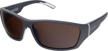 Ibex 12376