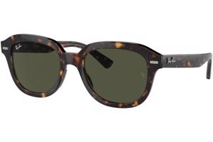 Ray-Ban Erik RB4398 902/31 - L (53)