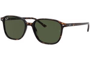 Ray-Ban Leonard RB2193 902/31 - M (53)