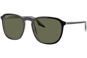 Ray-Ban RB2203 919/58 Polarized - L (55)