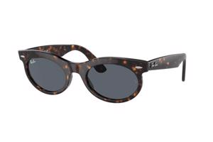 Ray-Ban RB2242 902/R5 - L (53)