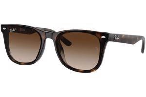 Ray-Ban RB4420 710/13 - ONE SIZE (65)