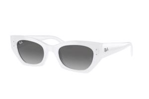 Ray-Ban RB4430 675911 - L (52)