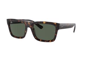 Ray-Ban Warren RB4396 135971 - L (57)