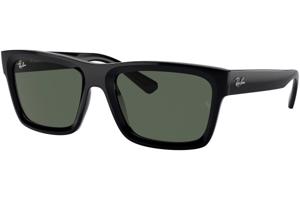 Ray-Ban Warren RB4396 667771 - L (57)