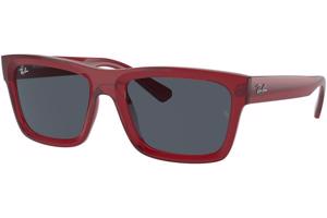 Ray-Ban Warren RB4396 667987 - M (54)