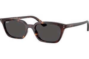 Ray-Ban Zaya RB4456 135987 - L (53)